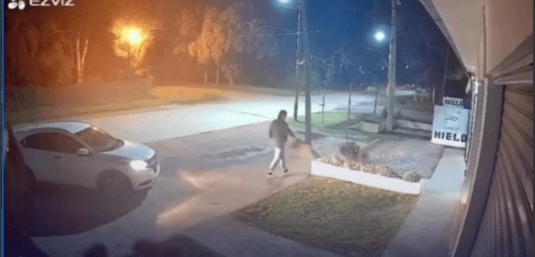 El debate sobre el maltrato animal en Funes vuelve a estar en el centro de la escena.