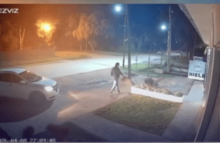 El debate sobre el maltrato animal en Funes vuelve a estar en el centro de la escena.