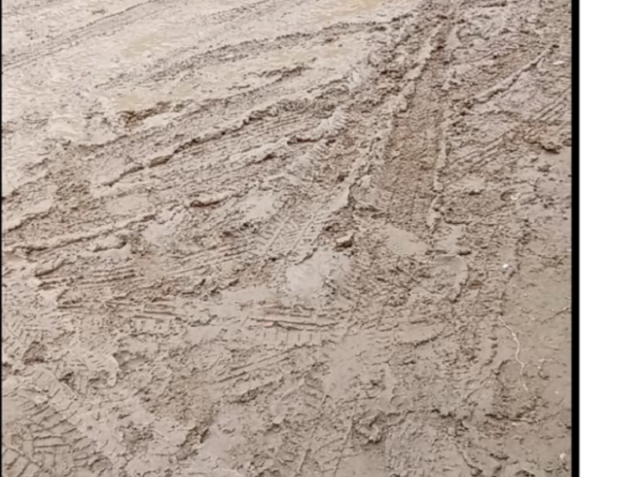 Imagen de "Vivir en un rally constante": El hartazgo de los vecinos de Playa Hermosa por el estado de las calles