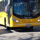 Imagen de Vecino reclama m&aacute;s colectivos en horarios pico por la ma&ntilde;ana