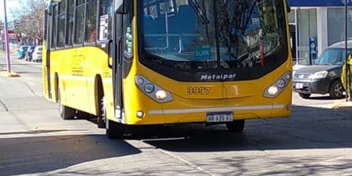 Imagen de Vecino reclama m&aacute;s colectivos en horarios pico por la ma&ntilde;ana