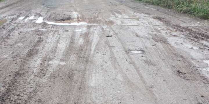 Imagen de Vecinos denuncian el estado �intransitable� del camino al Club de Pescadores en Fighiera