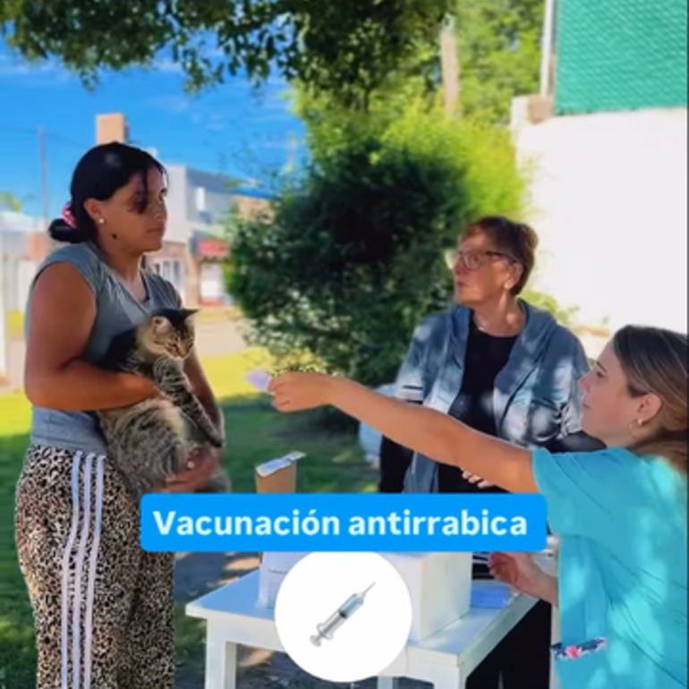 Imagen de Exitosa campa&ntilde;a de vacunaci&oacute;n antirr&aacute;bica para mascotas