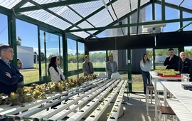 Imagen de Inauguraci&oacute;n de invernadero hidrop&oacute;nico escolar en Tecnolagos