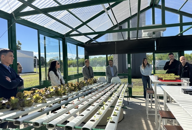 Imagen de Inauguraci&oacute;n de invernadero hidrop&oacute;nico escolar en Tecnolagos