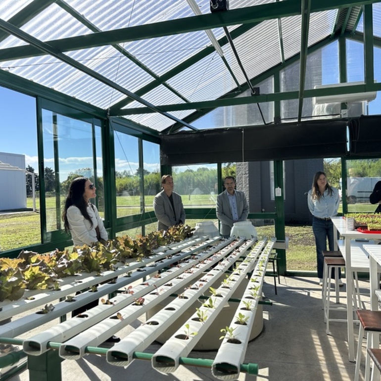 Imagen de Inauguraci&oacute;n de invernadero hidrop&oacute;nico escolar en Tecnolagos