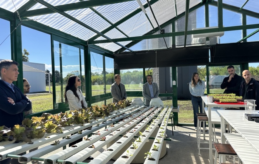 Imagen de Inauguraci&oacute;n de invernadero hidrop&oacute;nico escolar en Tecnolagos