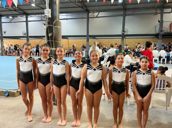 Imagen de Gimnastas de Uni&oacute;n, brillaron con excelentes actuaciones en el Provincial de Rosario