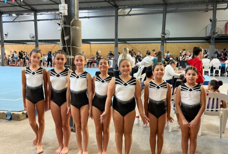 Imagen de Gimnastas de Uni&oacute;n, brillaron con excelentes actuaciones en el Provincial de Rosario