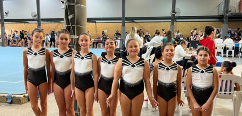 Imagen de Gimnastas de Uni&oacute;n, brillaron con excelentes actuaciones en el Provincial de Rosario