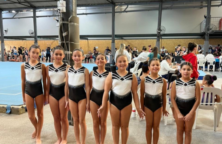 Imagen de Gimnastas de Uni&oacute;n, brillaron con excelentes actuaciones en el Provincial de Rosario