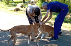 Imagen de Jornada de vacunaci&oacute;n antirr&aacute;bica en el Barrio de La Costa del Paran&aacute;