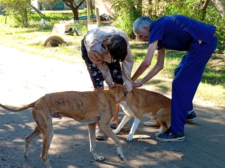 Imagen de Jornada de vacunaci&oacute;n antirr&aacute;bica en el Barrio de La Costa del Paran&aacute;