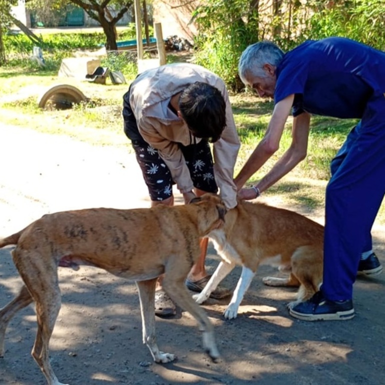 Imagen de Jornada de vacunaci&oacute;n antirr&aacute;bica en el Barrio de La Costa del Paran&aacute;
