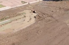 Foto: Captura de pantalla video