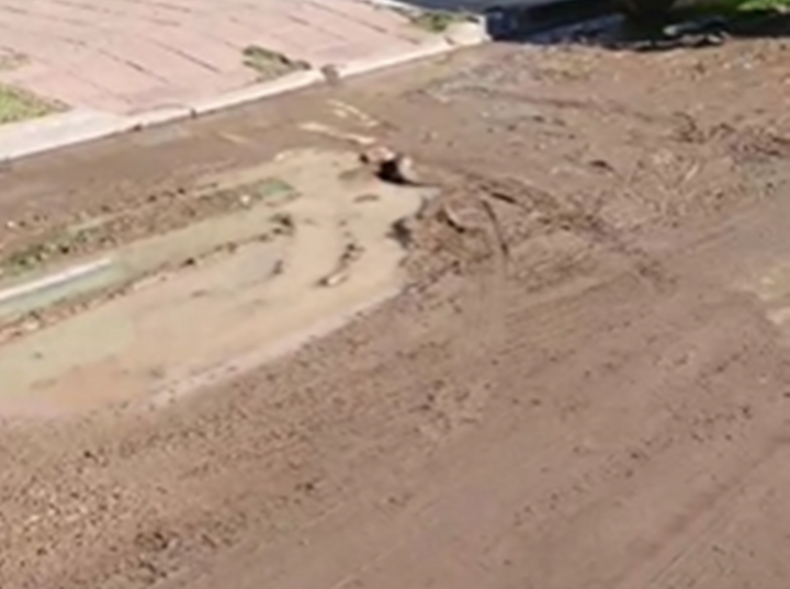 Foto: Captura de pantalla video