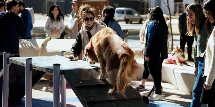 Imagen de Rosario inaugur&oacute; su primera plaza con espacio exclusivo para perros