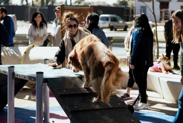 Imagen de Rosario inaugur&oacute; su primera plaza con espacio exclusivo para perros