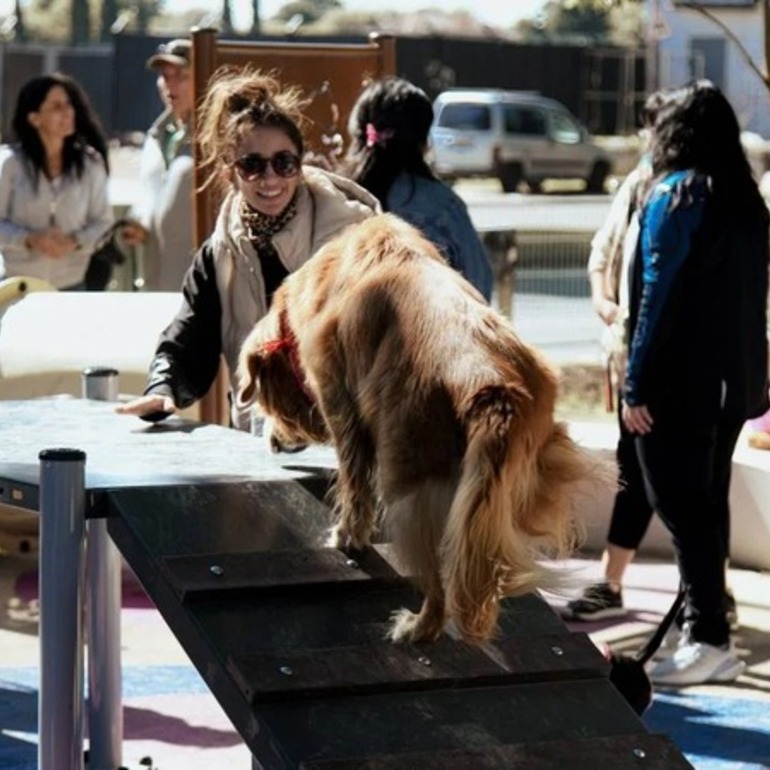 Imagen de Rosario inaugur&oacute; su primera plaza con espacio exclusivo para perros