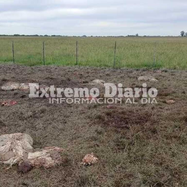 Imagen de Preocupaci&oacute;n por abigeato en Arroyo Seco: ya son dos hechos en 15 d&iacute;as