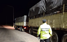Imagen de Operativos en rutas santafesinas: secuestran cargamentos de carb&oacute;n vegetal por infracciones a la Ley Forestal