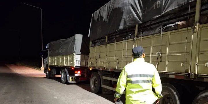 Imagen de Operativos en rutas santafesinas: secuestran cargamentos de carb&oacute;n vegetal por infracciones a la Ley Forestal