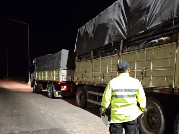 Imagen de Operativos en rutas santafesinas: secuestran cargamentos de carb&oacute;n vegetal por infracciones a la Ley Forestal