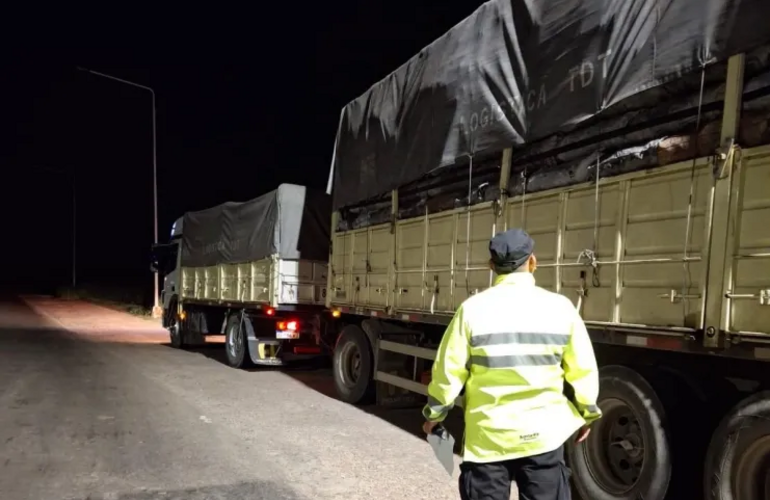 Imagen de Operativos en rutas santafesinas: secuestran cargamentos de carb&oacute;n vegetal por infracciones a la Ley Forestal