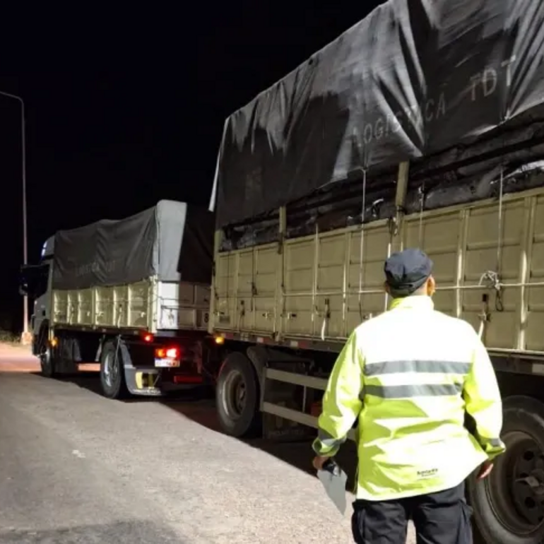Imagen de Operativos en rutas santafesinas: secuestran cargamentos de carb&oacute;n vegetal por infracciones a la Ley Forestal