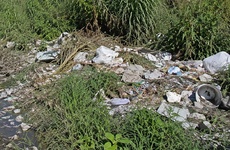 Imagen de Reclaman limpieza urgente en calle Independencia, entre Juan B. Justo y el arroyo Seco
