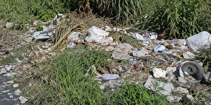 Imagen de Reclaman limpieza urgente en calle Independencia, entre Juan B. Justo y el arroyo Seco