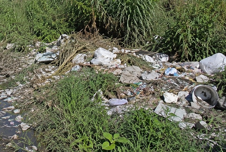 Imagen de Reclaman limpieza urgente en calle Independencia, entre Juan B. Justo y el arroyo Seco