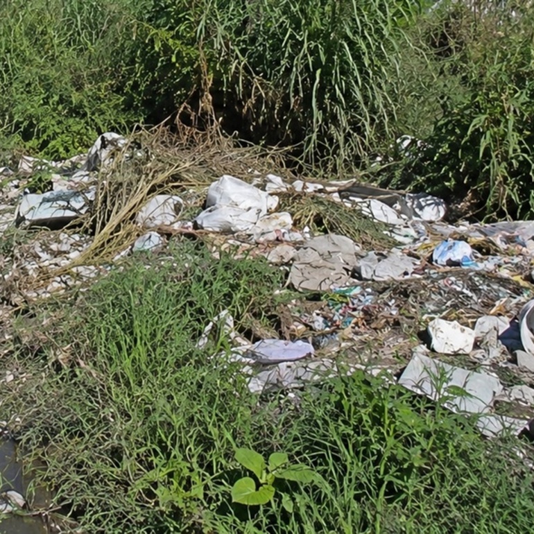 Imagen de Reclaman limpieza urgente en calle Independencia, entre Juan B. Justo y el arroyo Seco