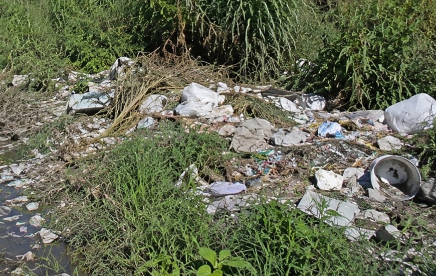 Imagen de Reclaman limpieza urgente en calle Independencia, entre Juan B. Justo y el arroyo Seco