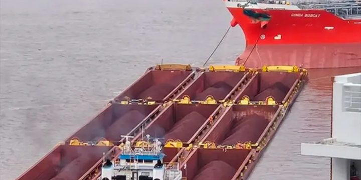 Imagen de Alarma en el Paran&aacute;: "El choque de barcos frente a Rosario pudo ser una tragedia ecol&oacute;gica y humana"