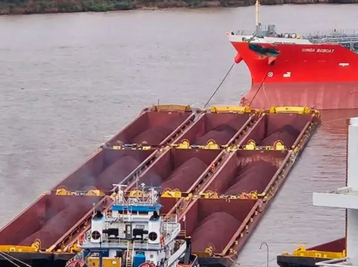 Imagen de Alarma en el Paran&aacute;: "El choque de barcos frente a Rosario pudo ser una tragedia ecol&oacute;gica y humana"