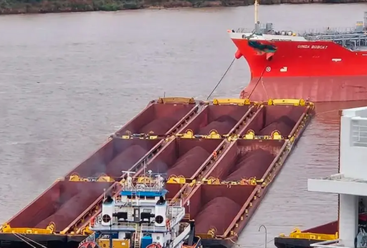 Imagen de Alarma en el Paran&aacute;: "El choque de barcos frente a Rosario pudo ser una tragedia ecol&oacute;gica y humana"