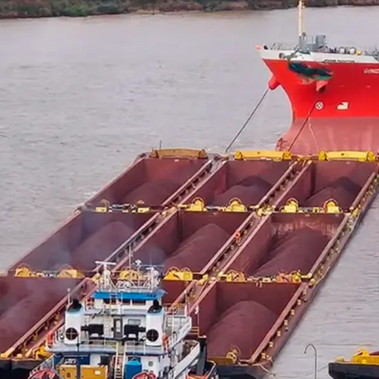 Imagen de Alarma en el Paran&aacute;: "El choque de barcos frente a Rosario pudo ser una tragedia ecol&oacute;gica y humana"