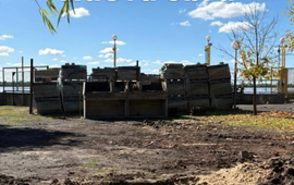 Imagen de Se inici&oacute; con la obra de reconstrucci&oacute;n de los parrilleros exteriores del Rowing Club