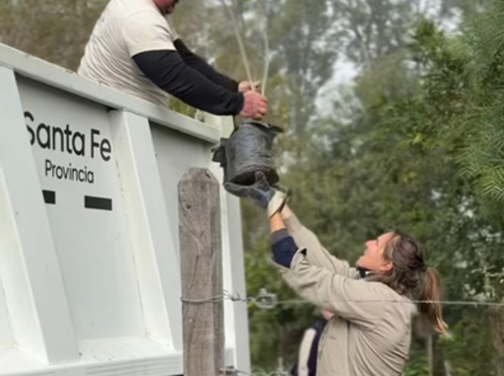 Imagen de M&aacute;s &aacute;rboles para Biolagos, para fortalecer el espacio protegido local