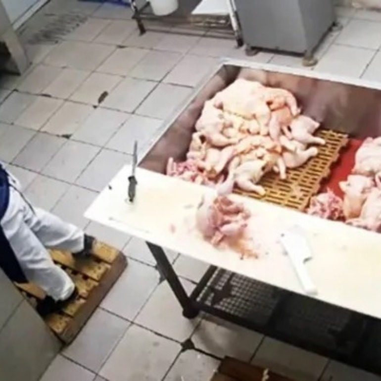 Una pelea en una carnicer&iacute;a termin&oacute; con un intento de envenenamiento