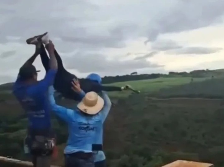 Imagen de Muerte en salto con cuerda: los detenidos admitieron que la chica no estaba atada