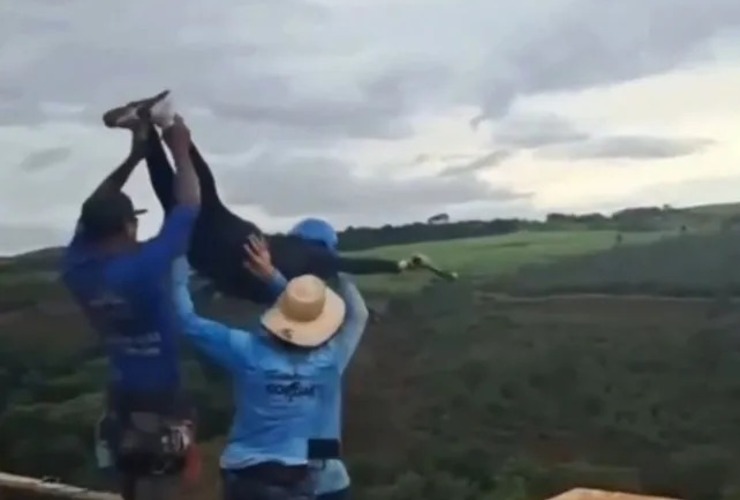 Imagen de Muerte en salto con cuerda: los detenidos admitieron que la chica no estaba atada