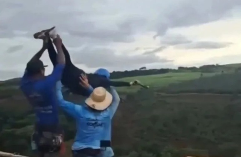 Imagen de Muerte en salto con cuerda: los detenidos admitieron que la chica no estaba atada