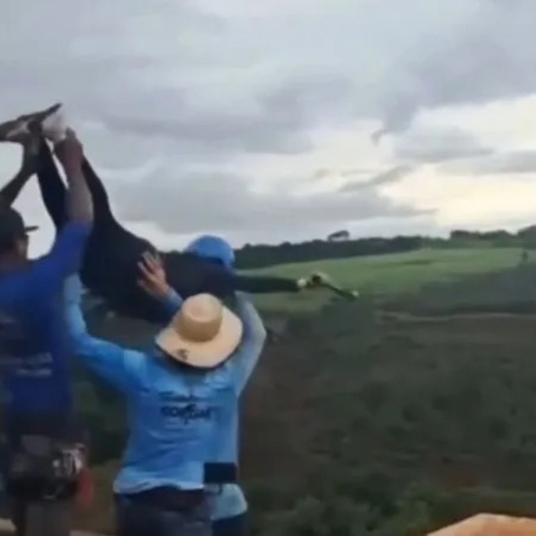 Imagen de Muerte en salto con cuerda: los detenidos admitieron que la chica no estaba atada