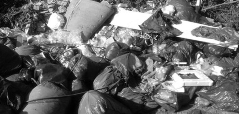 Imagen de �No es una playa de camiones,  hoy se est&aacute; usando como un basural�