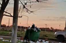 Imagen de Reclamo vecinal por un capacho de basura desbordado en Belgrano y Churchill: "Es una mugre"