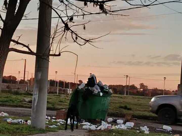 Imagen de Reclamo vecinal por un capacho de basura desbordado en Belgrano y Churchill: "Es una mugre"