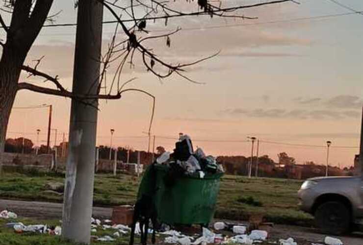 Imagen de Reclamo vecinal por un capacho de basura desbordado en Belgrano y Churchill: "Es una mugre"