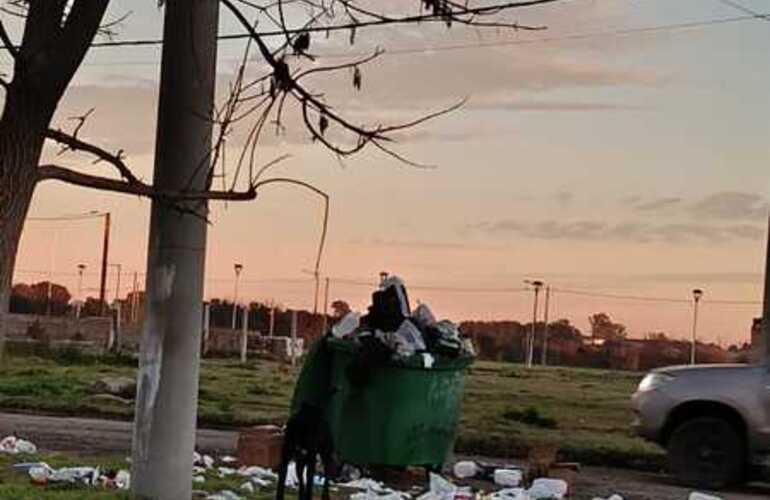 Imagen de Reclamo vecinal por un capacho de basura desbordado en Belgrano y Churchill: "Es una mugre"